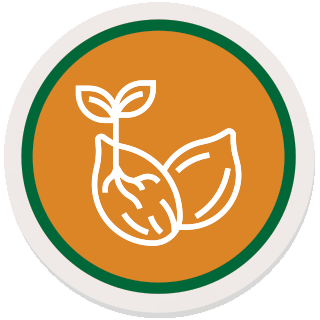 Semi di Canapa